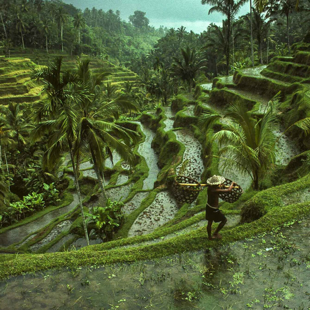 Motorradreisen Indonesien Canggu Dschungel Ausblicke
